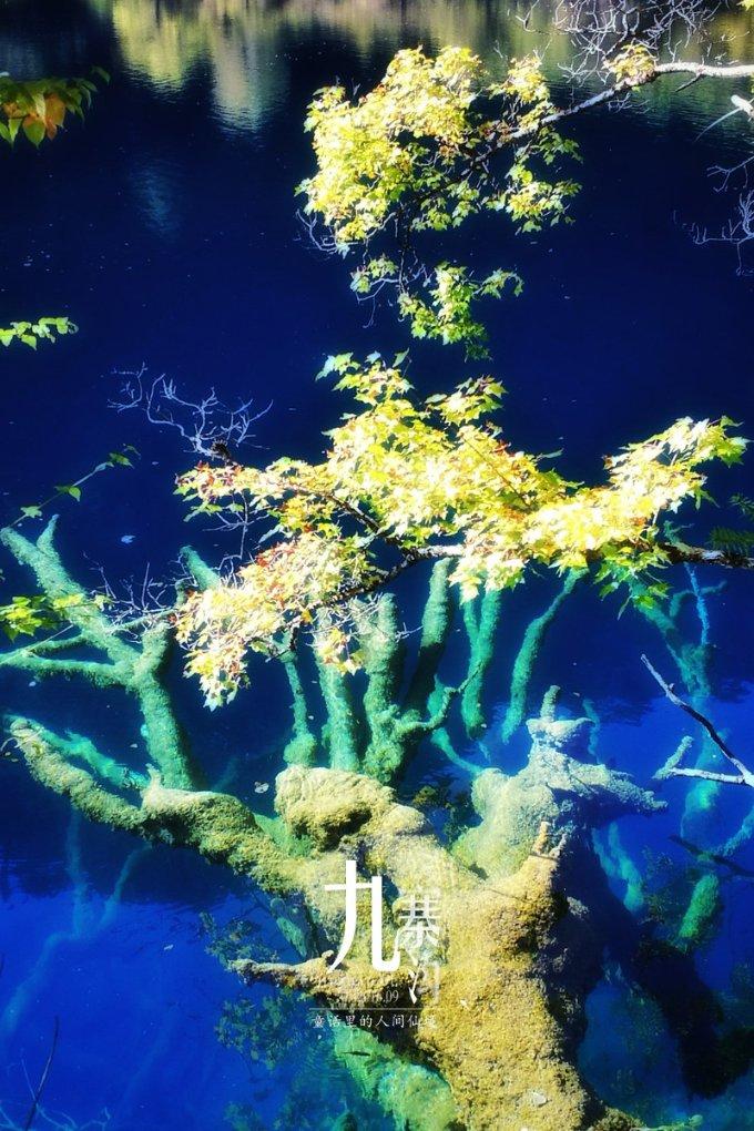 愿无大碍!吉伦沃特与郭凯抢球时撞到广告牌 随后返回更衣室