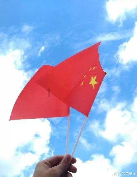 眼镜蛇秘密行动