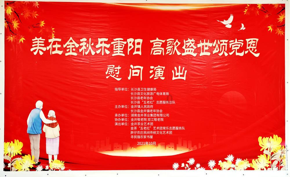 植物大战僵尸19