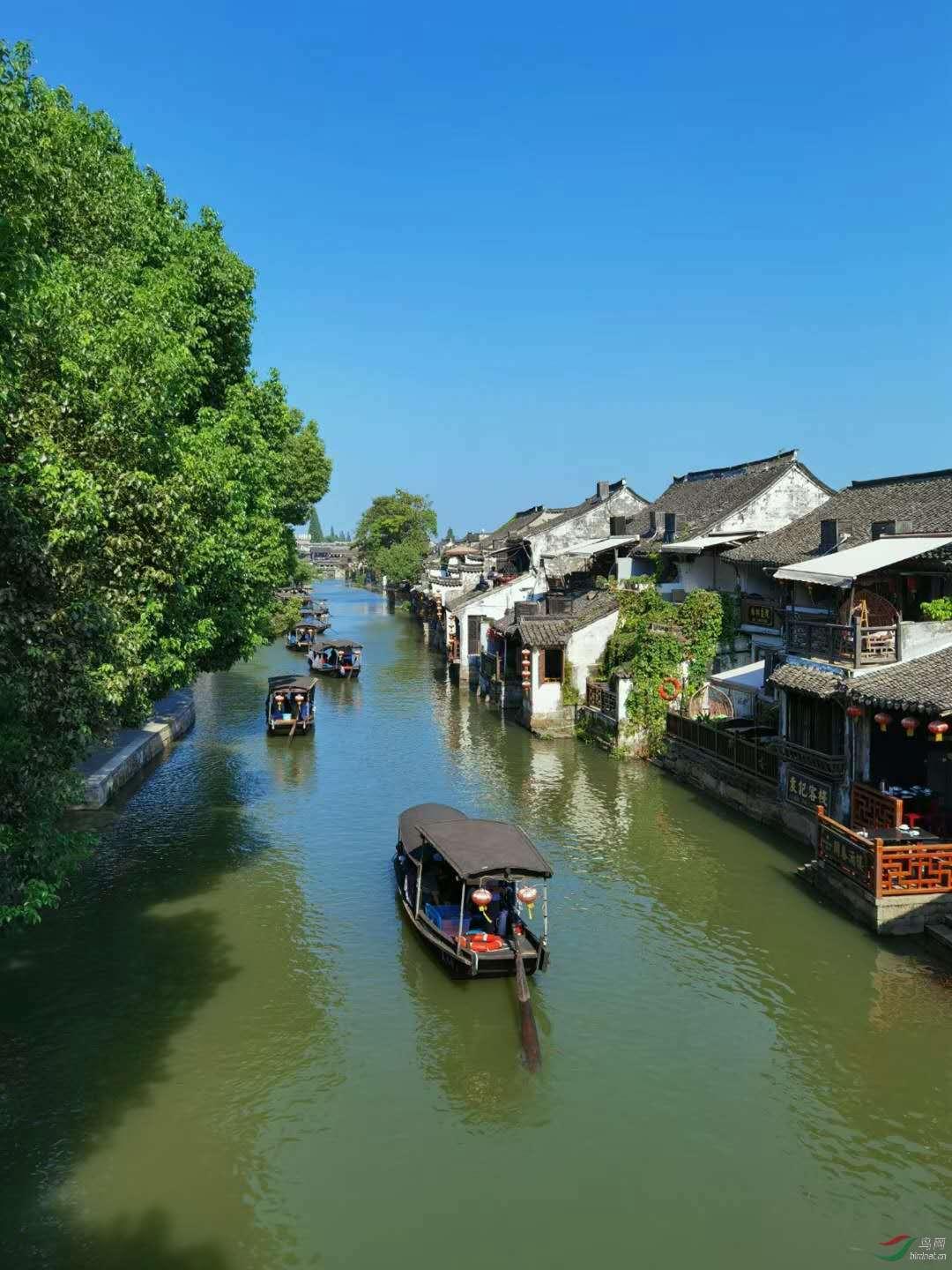 球球大作战下载最新版