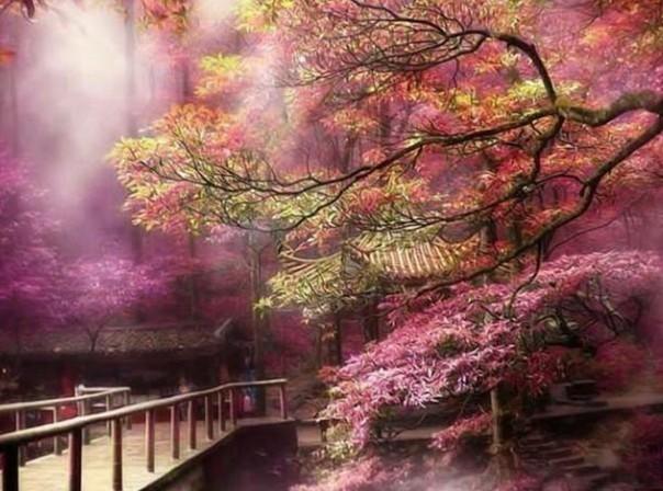 视频号怎么看朋友点赞过的视频游戏画面